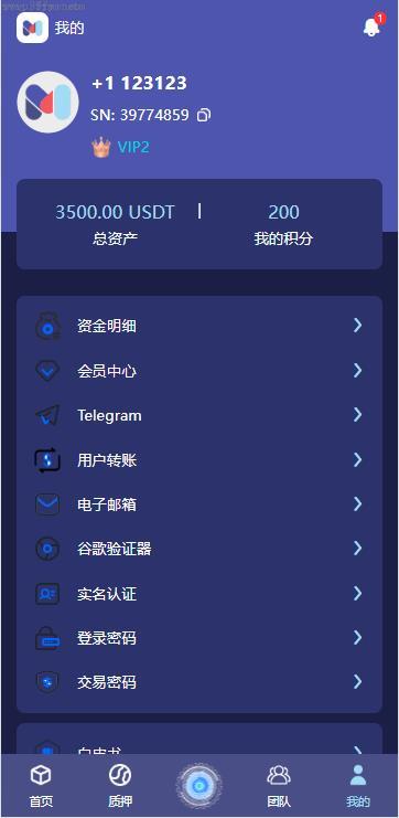 新开发_多语言矿机_19国多语言自动挖矿系统_海外质押理财_自定义语言_ThinkPHP6，四端分离_精品插图10
