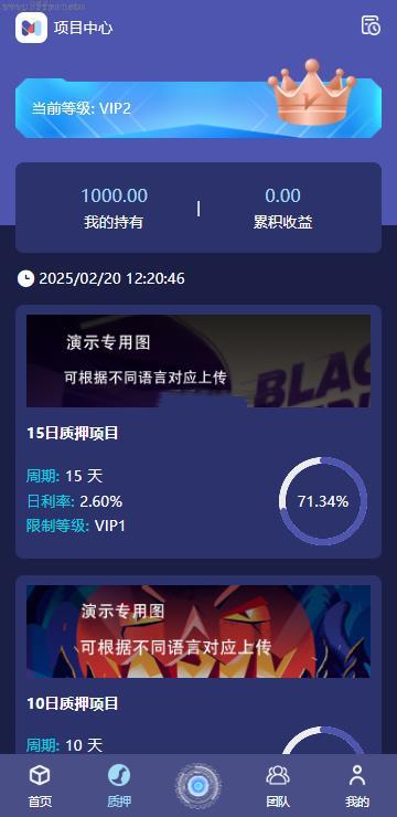 新开发_多语言矿机_19国多语言自动挖矿系统_海外质押理财_自定义语言_ThinkPHP6，四端分离_精品插图4